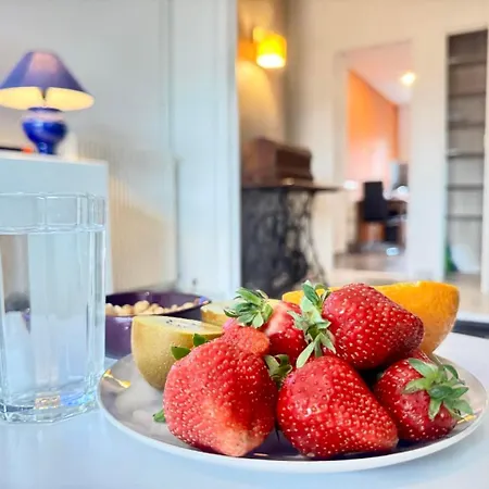 Apartment Charming In Free Parking *