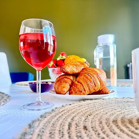 Charming In Free Parking Apartment Albi